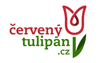 Červený Tulipán